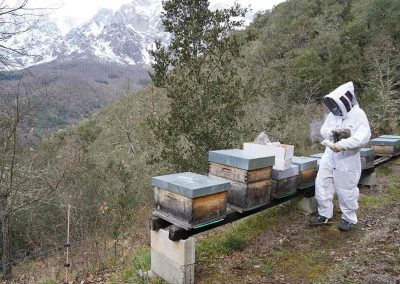 apicultor con traje de apicultor Air Mesh de Oz Armour