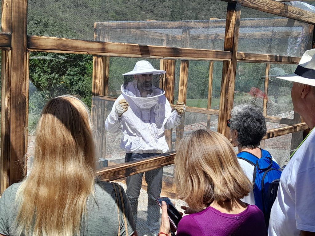 apicultor explica a visitantes de Beexperience apiturismo y turismo apícola en Liébana Cantabria