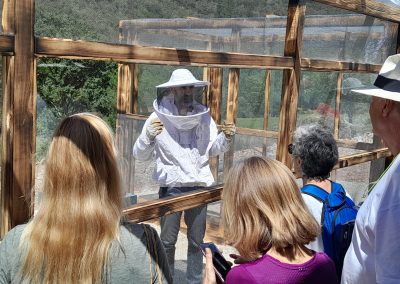 apicultor explica a visitantes de Beexperience apiturismo y turismo apícola en Liébana Cantabria
