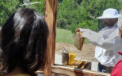 Cinco experiencias únicas en Liébana: vive la naturaleza y la tradición