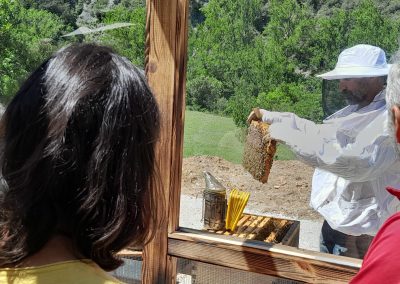 un apicultor muestra un panal en la visita a Beexperience apiturismo y turismo apícola en Liébana Cantabria