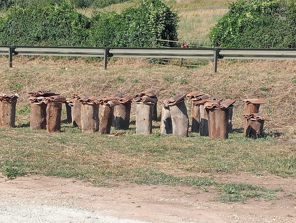 colmenas de corcho que se pueden visitar en Beexperience apiturismo y turismo apícola en Liébana Cantabria