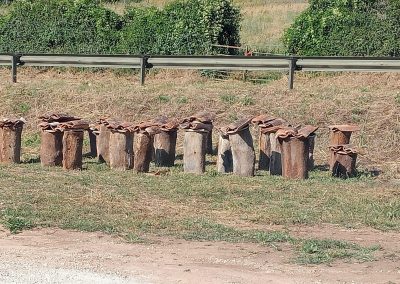 colmenas de corcho que se pueden visitar en Beexperience apiturismo y turismo apícola en Liébana Cantabria