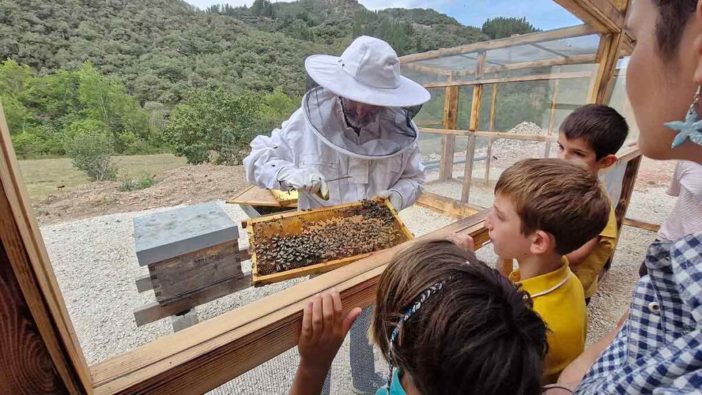 apicultor durante una visita de apiturismo en una de las cinco experiencias únicas en Liebana