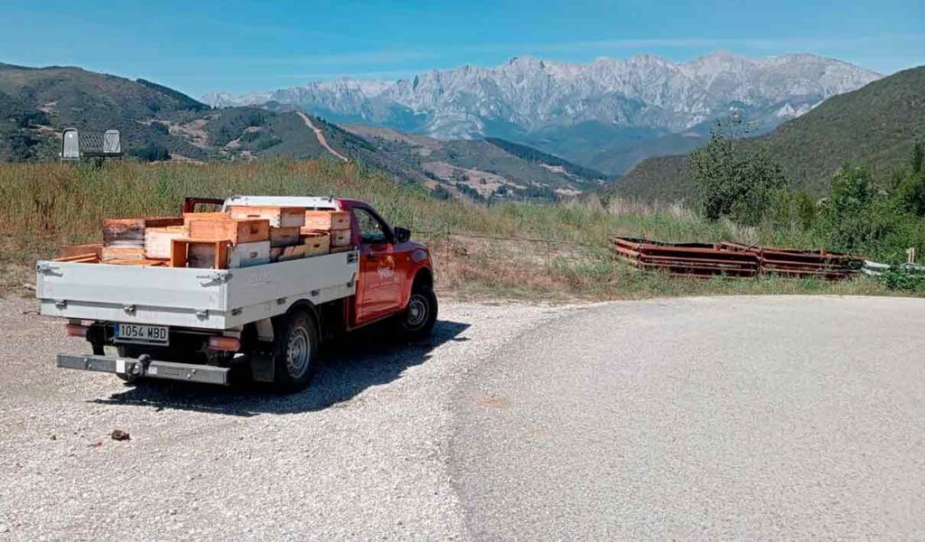 coche cargado de miel colmenares de Vendejo frente a los Picos de Europa en plena miel de Liébana cosecha 2024